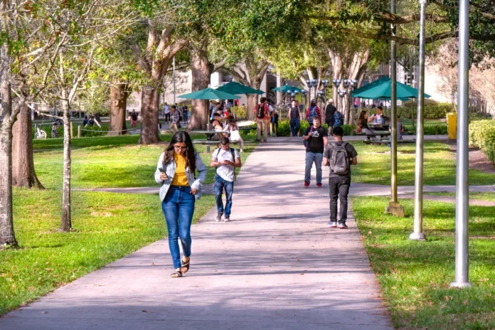 Top 10 Affordable Colleges Offering Remote Learning
